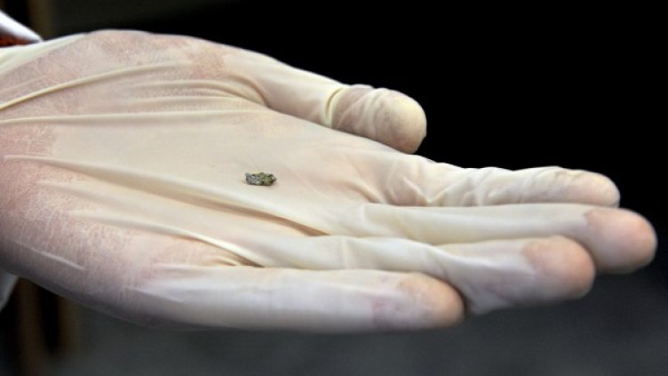 Няма официално потвърждение, че намерените отломки в Русия са от метеорит. Снимка: Reuters