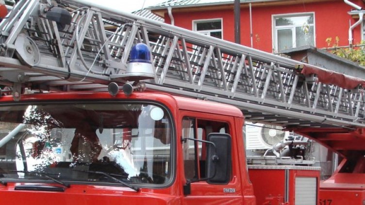 Снимка: Архив Булфото