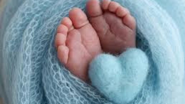 Снимка Пиксабей