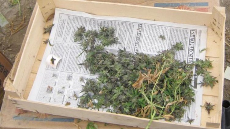 Снимка: архив Булфото