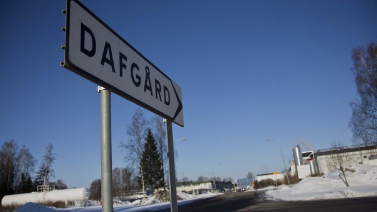 ДНК тест, извършен от Дагфорд, не е установил конско в кюфтенцата за ИКЕА в Чехия. Снимка: Reuters