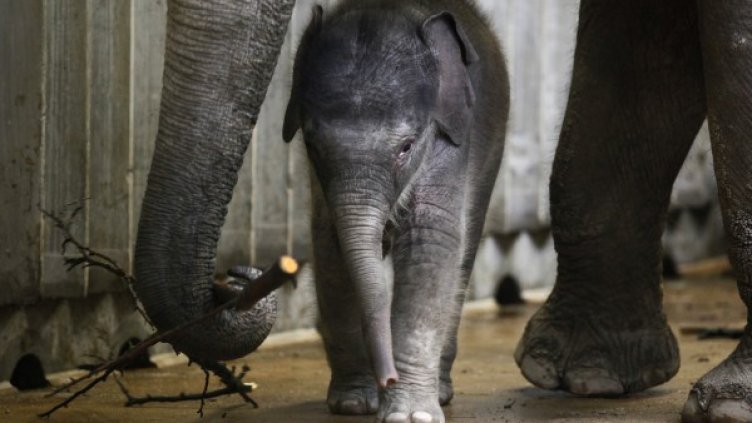 Снимка: архив, Reuters