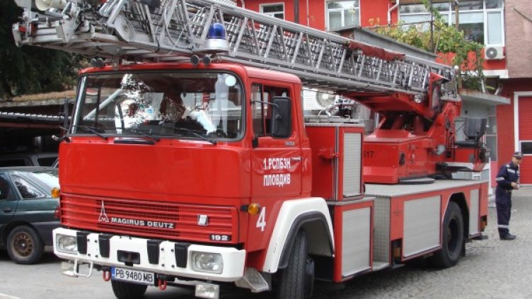 Снимка: Архив Булфото