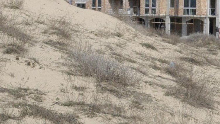 Снимка: архив, Булфото