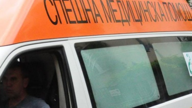 Снимка: Архив Булфото