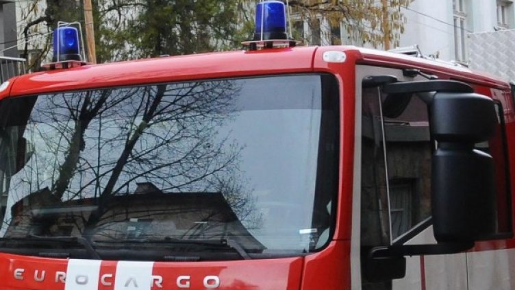 Снимка: Архив Булфото