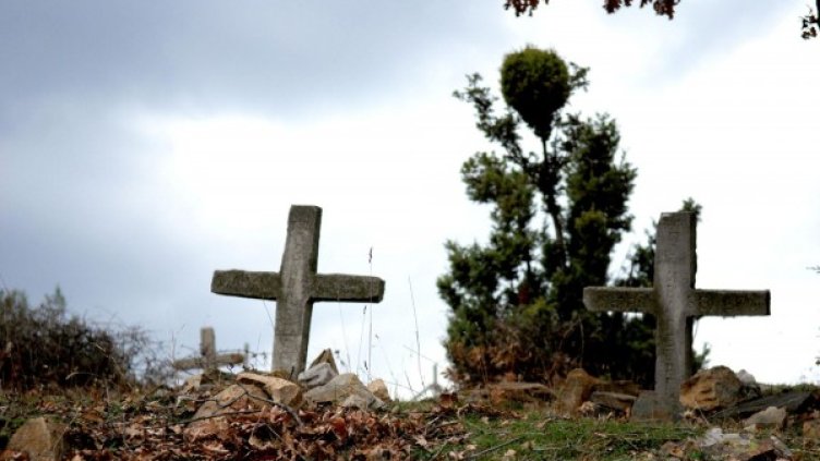 Снимка: Архив Булфото