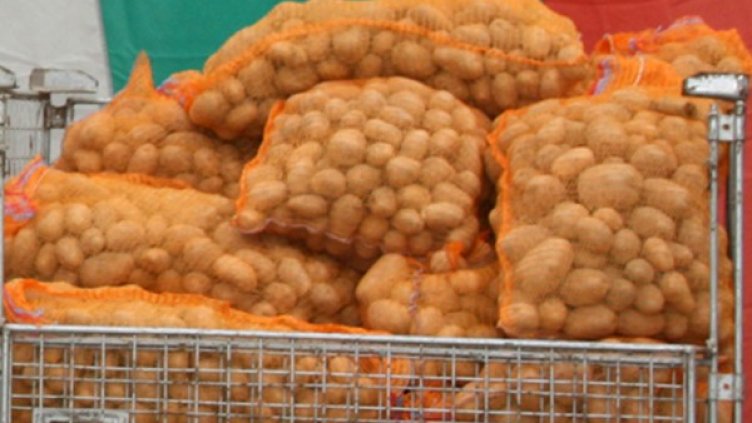 Снимка: архив, Impact Press Group