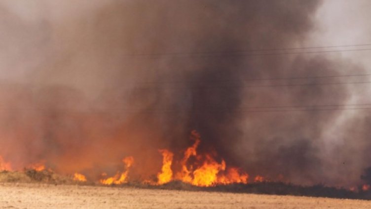 Снимка: архив, Булфото