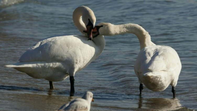 Снимка: архив, Булфото