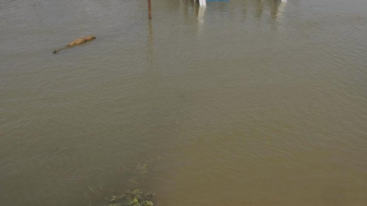 Снимка: архив, Булфото