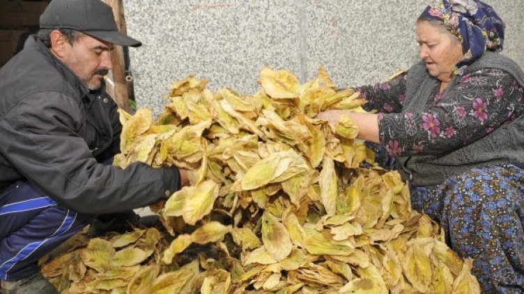 Снимка: Bulphoto