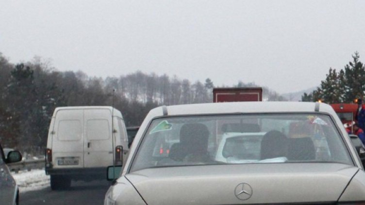 Снимка: Булфото