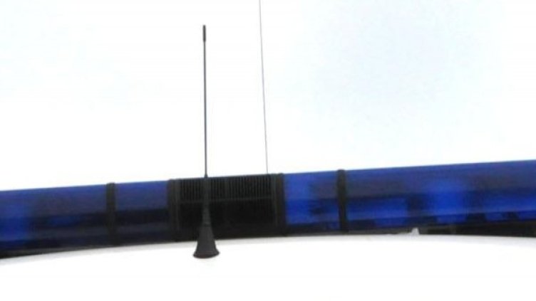 Снимка: Булфото