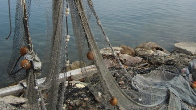 Снимка: sxc.hu