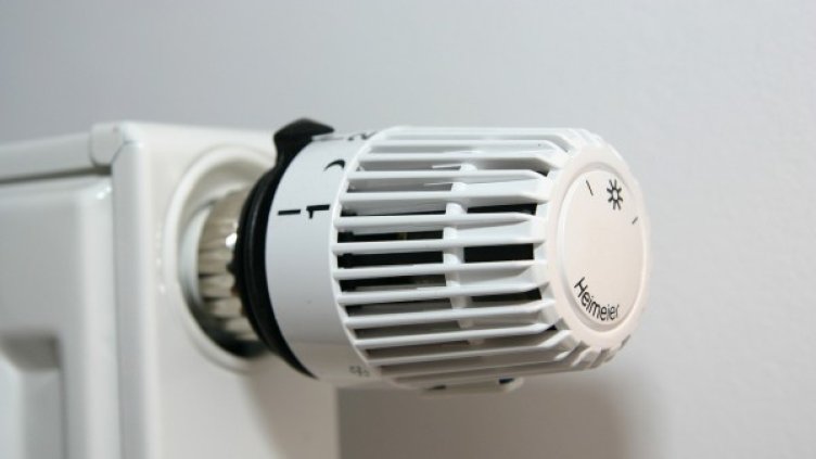 Снимка: Creative Commons