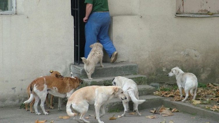 Снимка: Булфото