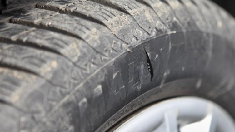 Снимка: Булфото, архив