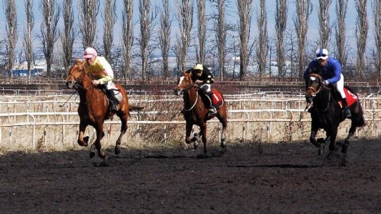 Традиционните кушии. Снимка: Булфото