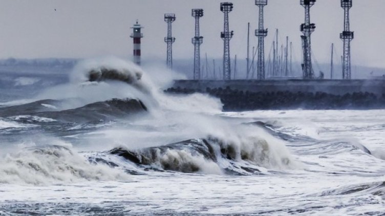Снимка: архив Булфото