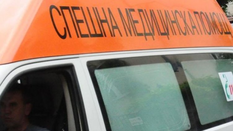 Снимка: Архив Булфото