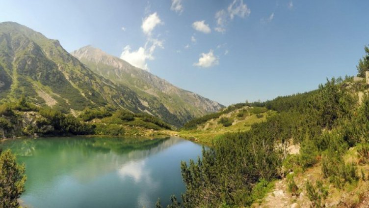 Снимка: архив Булфото