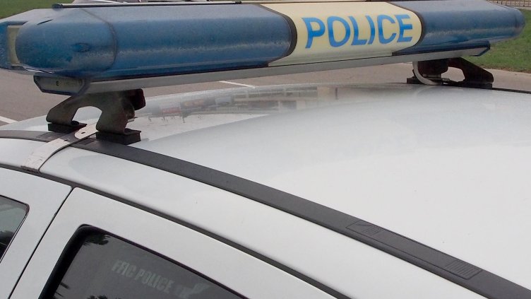 БГНЕС, архив