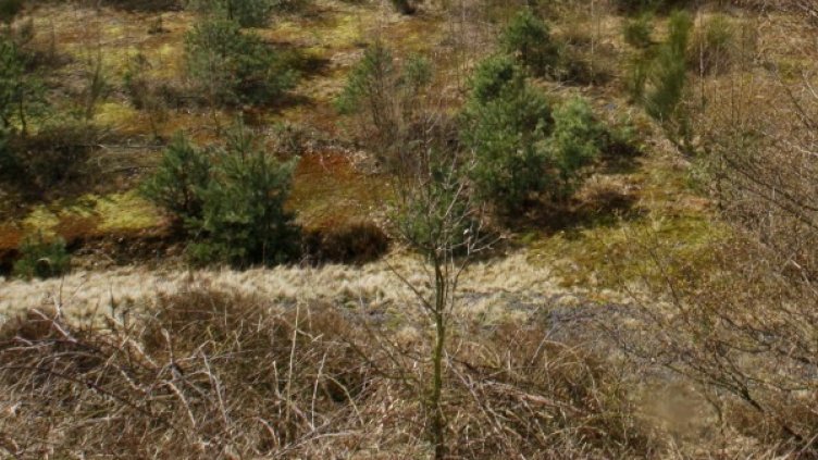 В почвата в квартал на Брюксел е открит природен уран. Снимка: архив, Reuters