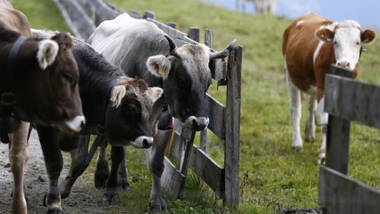 Снимка: Reuters