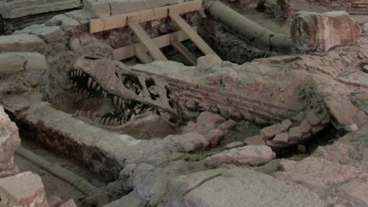 Така изглежда динозавърът, намерен в тунелите на софийското метро. Снимка: БТА
Поамериканченият "пиратски залив", т.е. "свободният залив". Скрийншот: The Pirate Bay