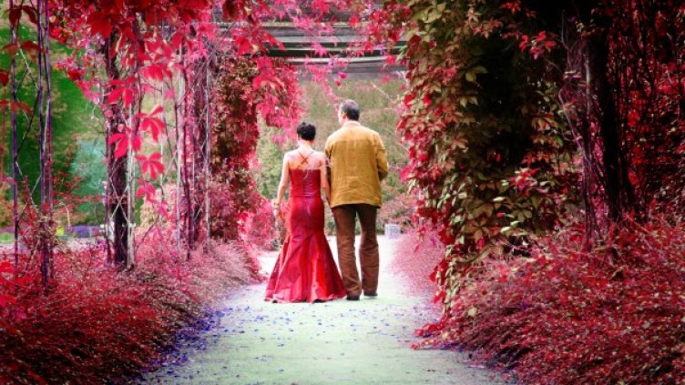 Снимка: Sxc.hu