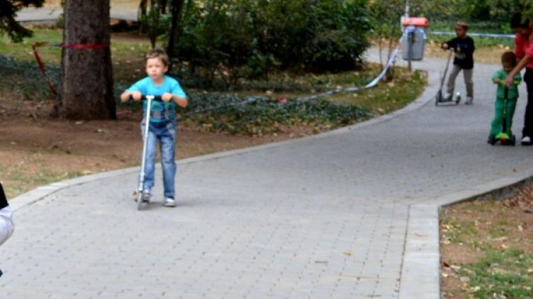 Кътове за разходка на кучета ще бъдат изградени в 2 парка. Снимка: Архив Булфото