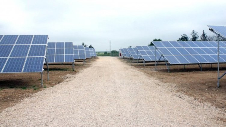 Снимка: архив Булфото