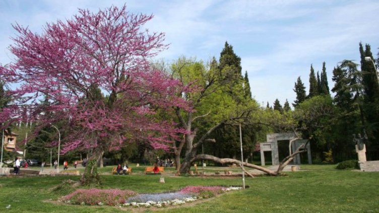 Снимка: Община Стара Загора