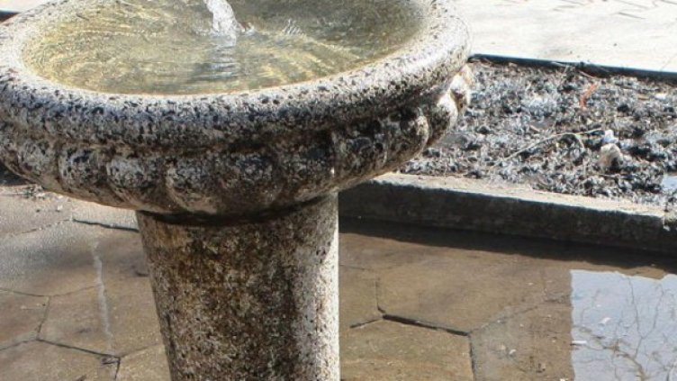 Снимка: Архив Булфото