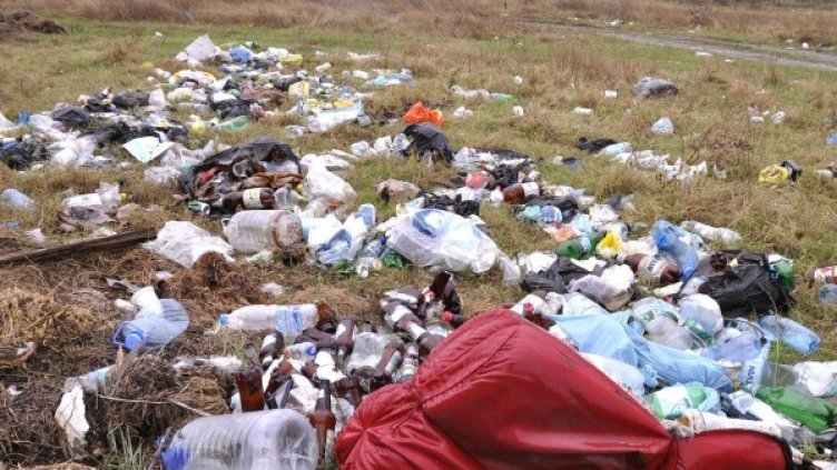 Снимка: Булфото