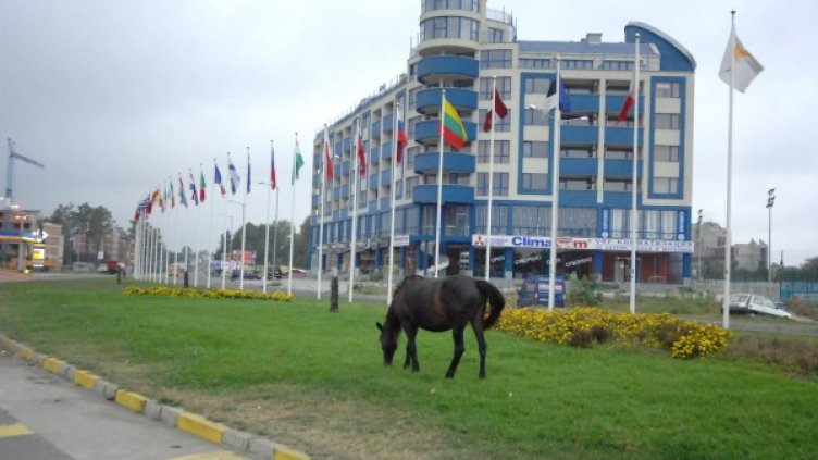 Камери ще гарантират сигурността на почиващите. Снимка: Булфото