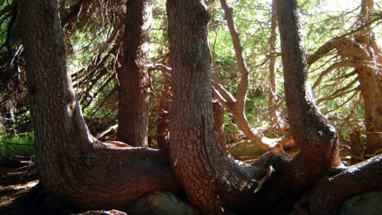 Снимка: Булфото, архив