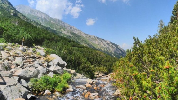 Снимка: архив, Булфото