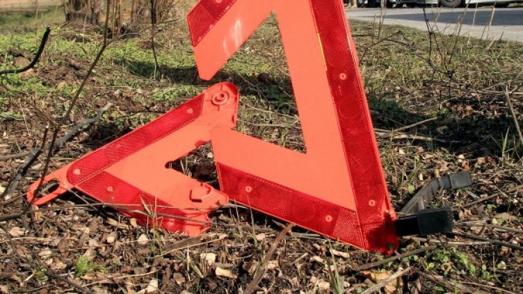 Снимка: Булфото, архив