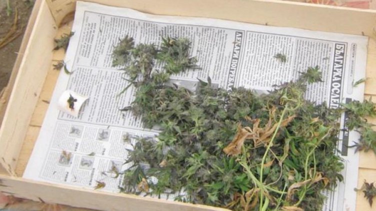 Снимка: архив Булфото