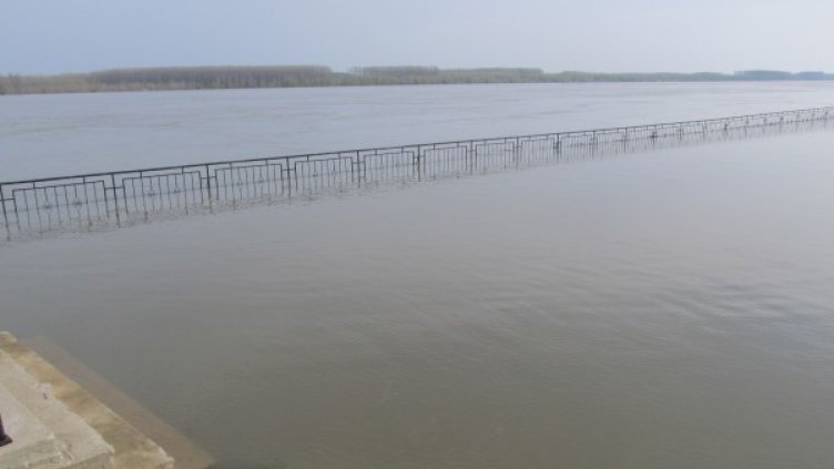 Нивото на Дунав край Силистра достигна 714 см. Снимка: БТА