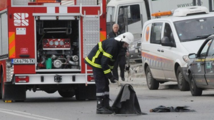 Снимка: Булфото