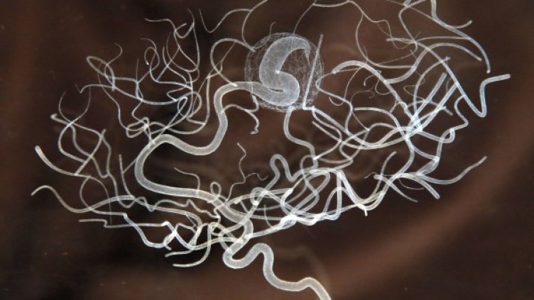 Снимка: Reuters