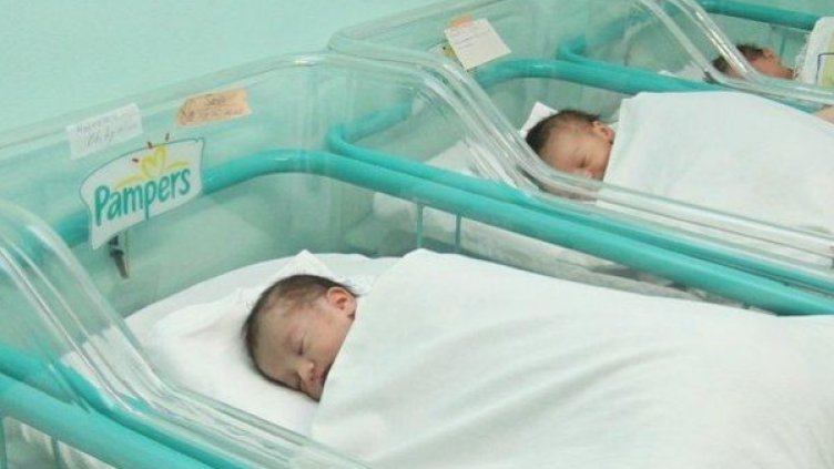 Снимка: Булфото, архив