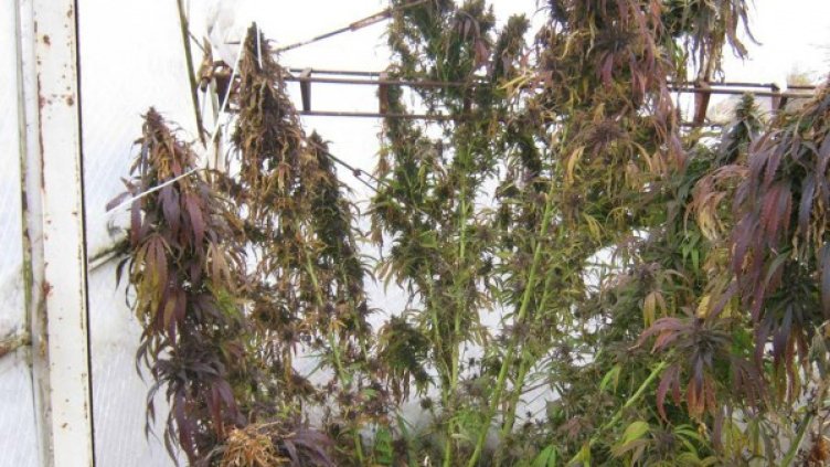 Снимка: Булфото