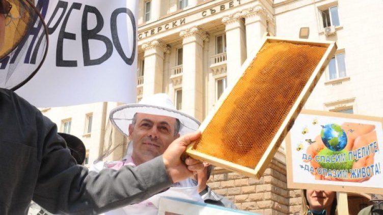 Пчеларите се събраха на протест в София. Снимка: Булфото