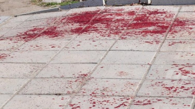 Снимка: Булфото, архив