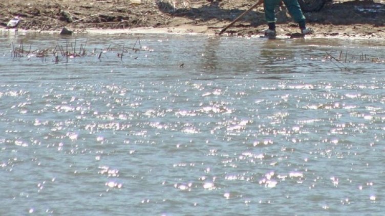 Снимка: Булфото