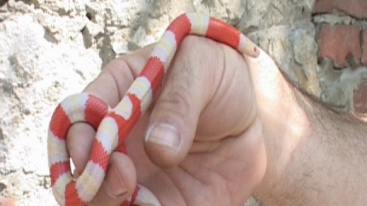 Снимка: Dnes.bg